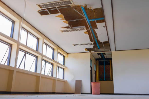 Best Local water damage restoration  in Hotchkiss, CO