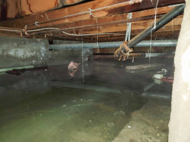  Hotchkiss, CO Water damage restoration Pros