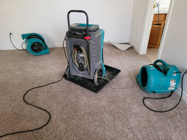 Best Professional water damage repair  in Hotchkiss, CO