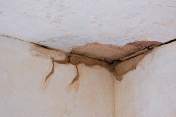 Best Commercial water damage restoration  in Hotchkiss, CO