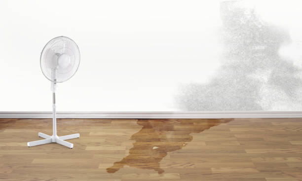 Best 24/7 water damage repair  in Hotchkiss, CO