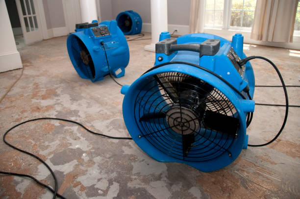 Local water damage restoration in Hotchkiss, CO