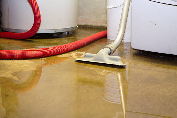 Best 24/7 water damage repair  in Hotchkiss, CO