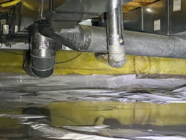 Best Mold removal after water damage  in Hotchkiss, CO