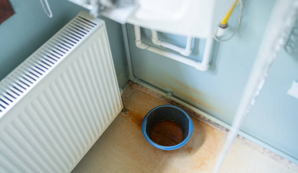 Best Residential water damage restoration  in Hotchkiss, CO