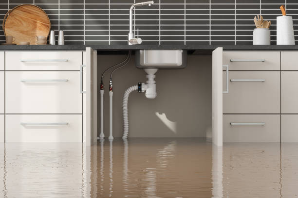 Water damage restoration experts in Hotchkiss, CO