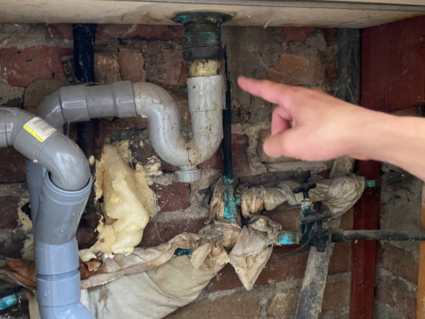 Best Carpet water damage restoration  in Hotchkiss, CO