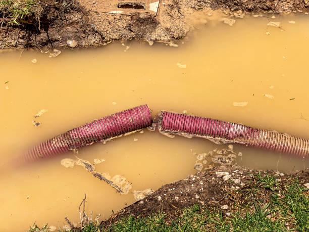 Best Water damage restoration experts  in Hotchkiss, CO