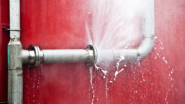 Best Flooded house restoration  in Hotchkiss, CO