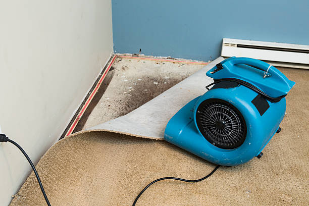 Best Emergency water damage restoration  in Hotchkiss, CO